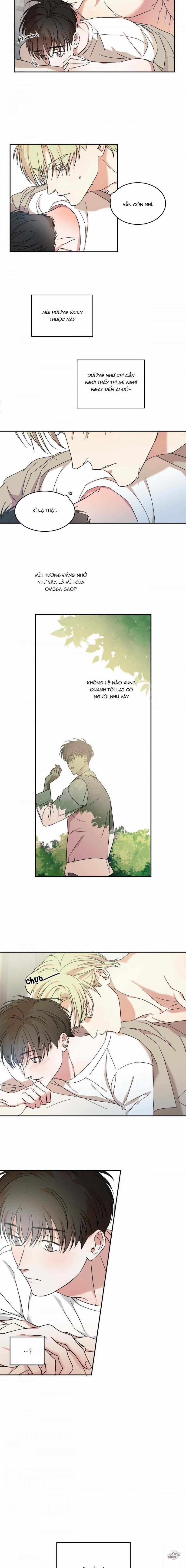 Master Của Tôi 10 trang 5