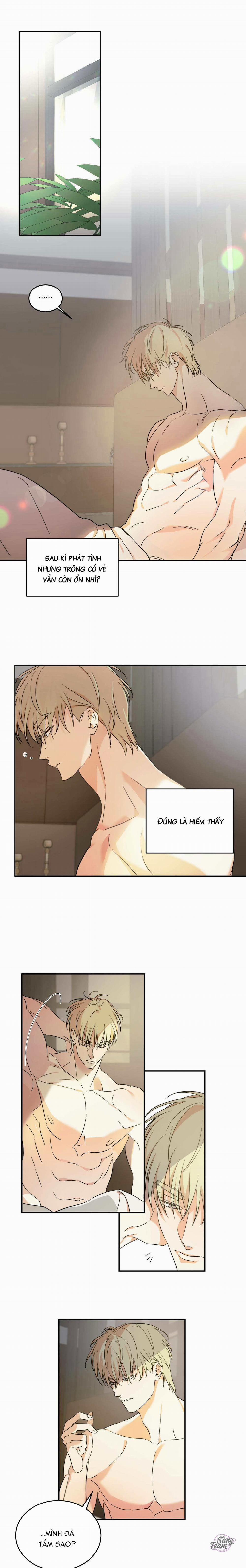 Master Của Tôi 12 trang 0