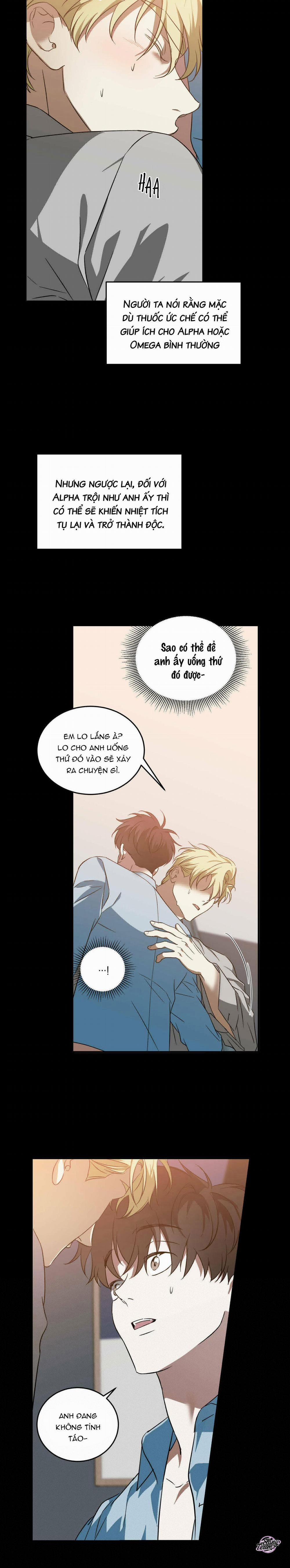 Master Của Tôi 26 trang 15