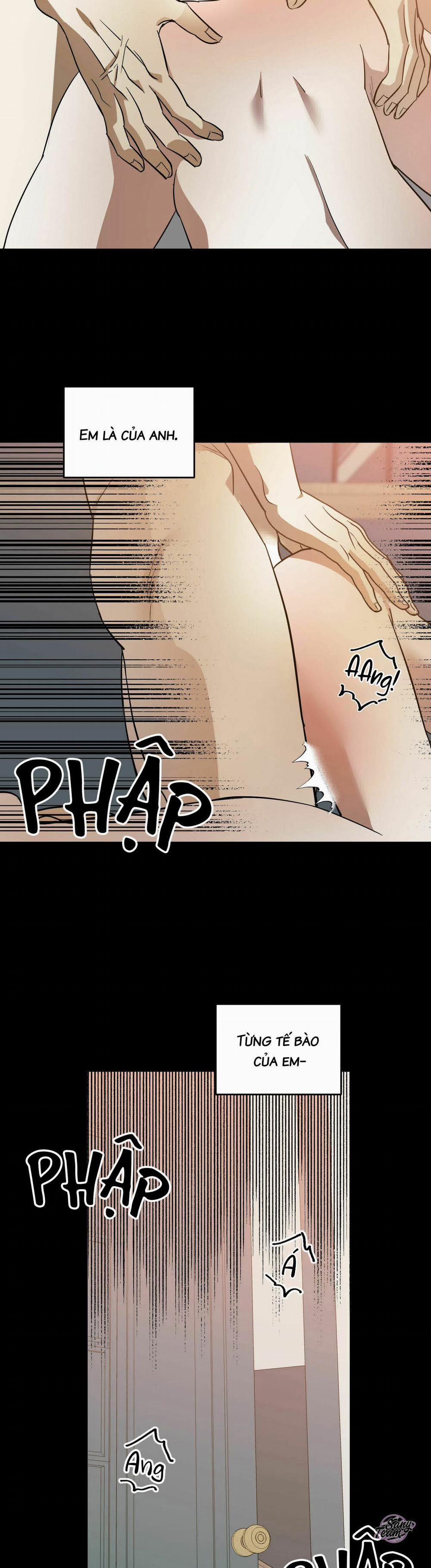 Master Của Tôi 28 trang 19