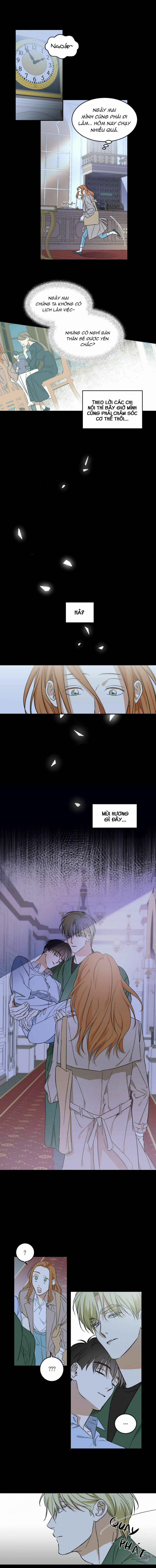 Master Của Tôi 3 trang 0