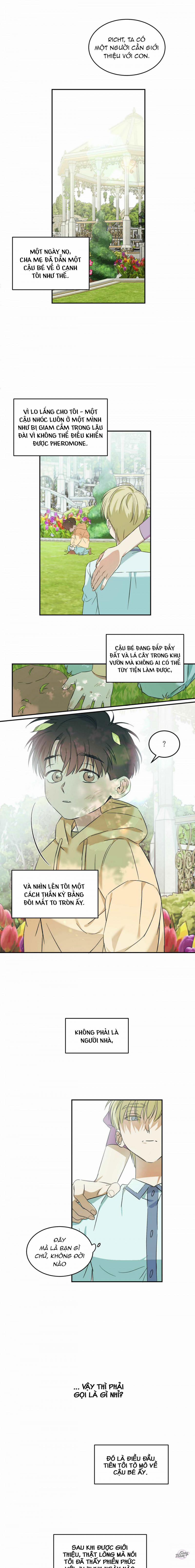 Master Của Tôi 3 trang 6