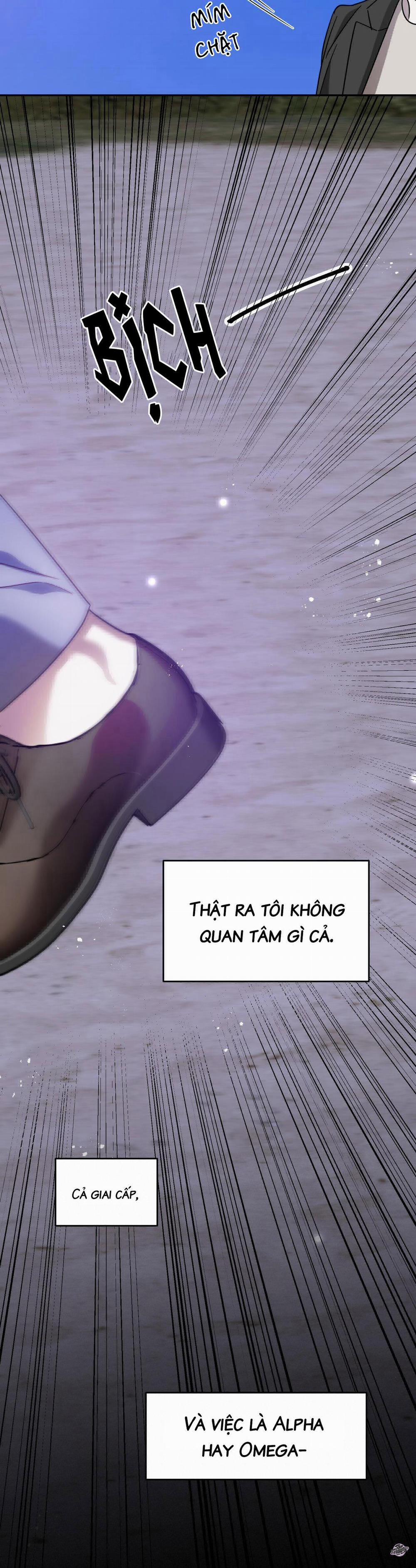 Master Của Tôi 49 trang 7