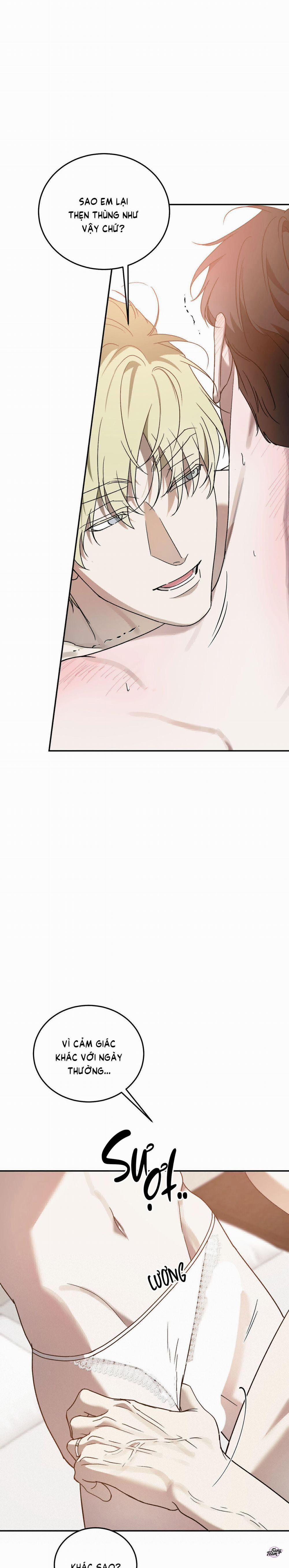 Master Của Tôi 70 trang 12