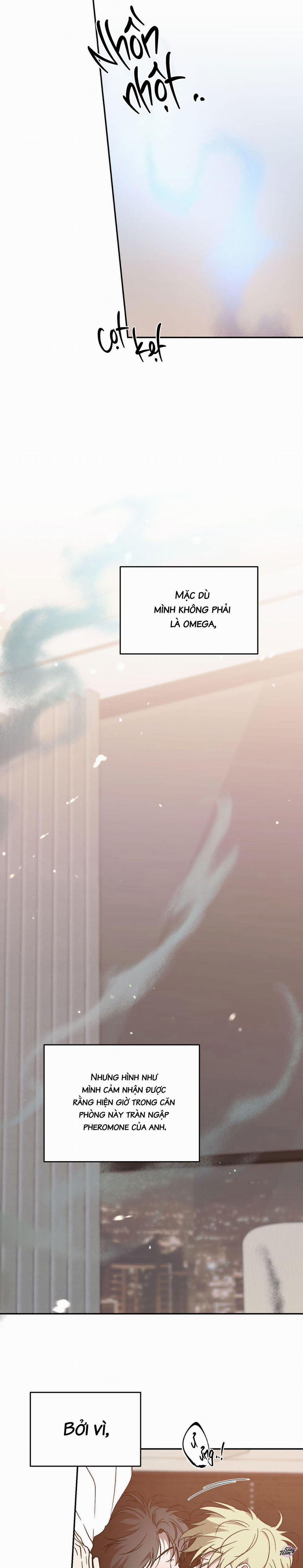 Master Của Tôi 71 trang 20