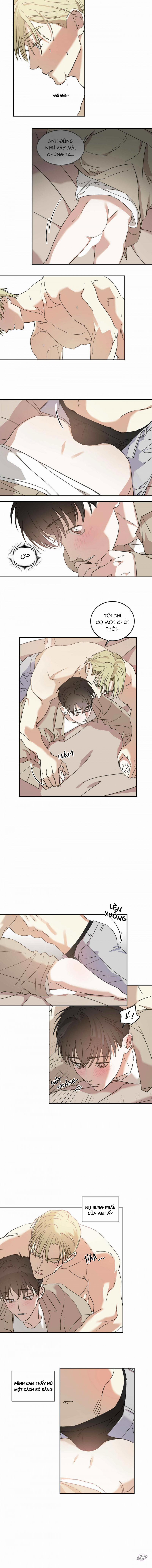 Master Của Tôi 8 trang 5