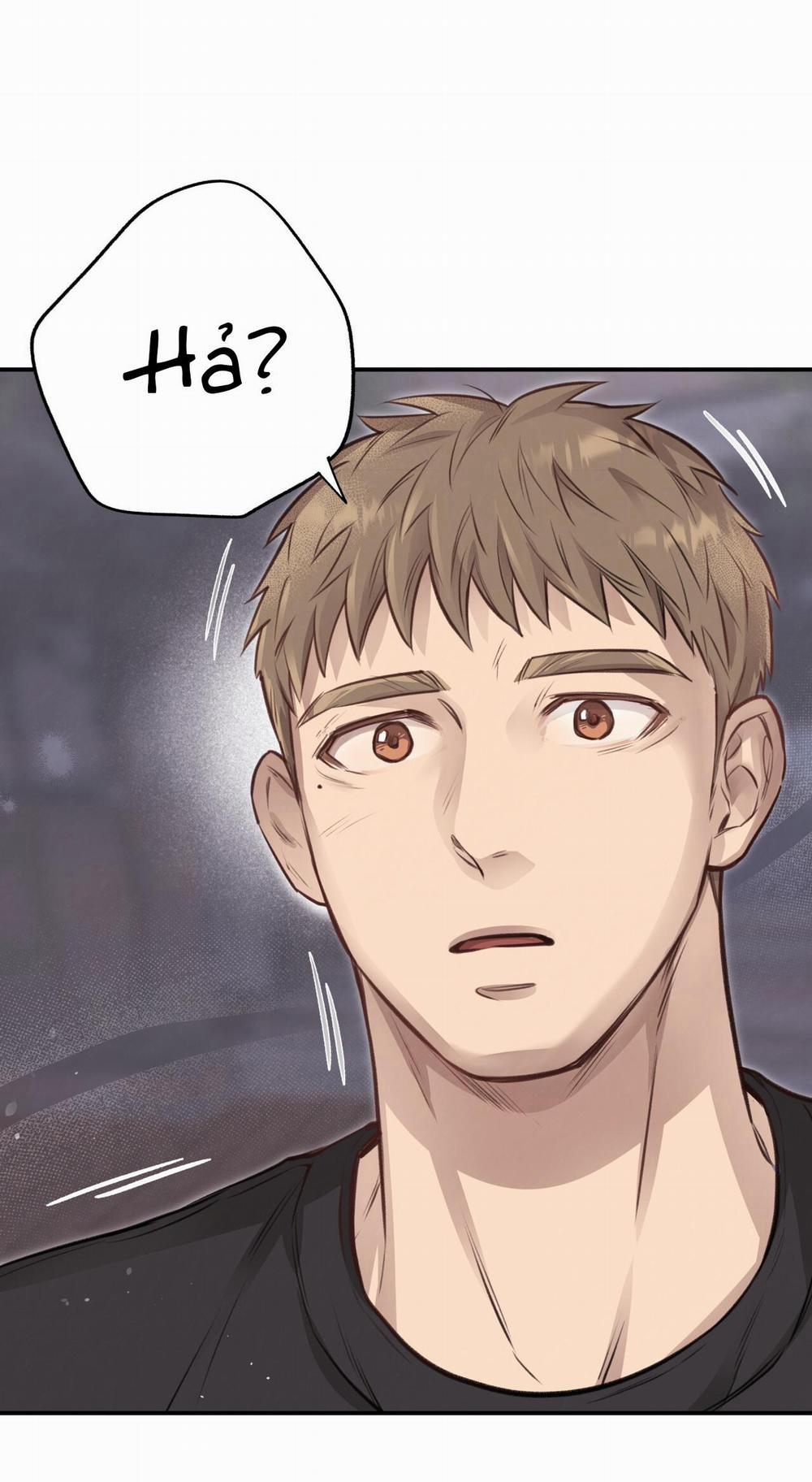 Mật Gấu 10 trang 8