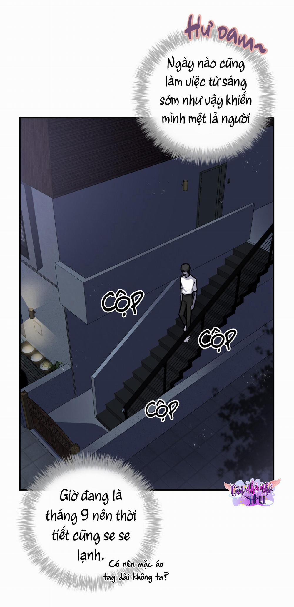 Mật Gấu 11 trang 2