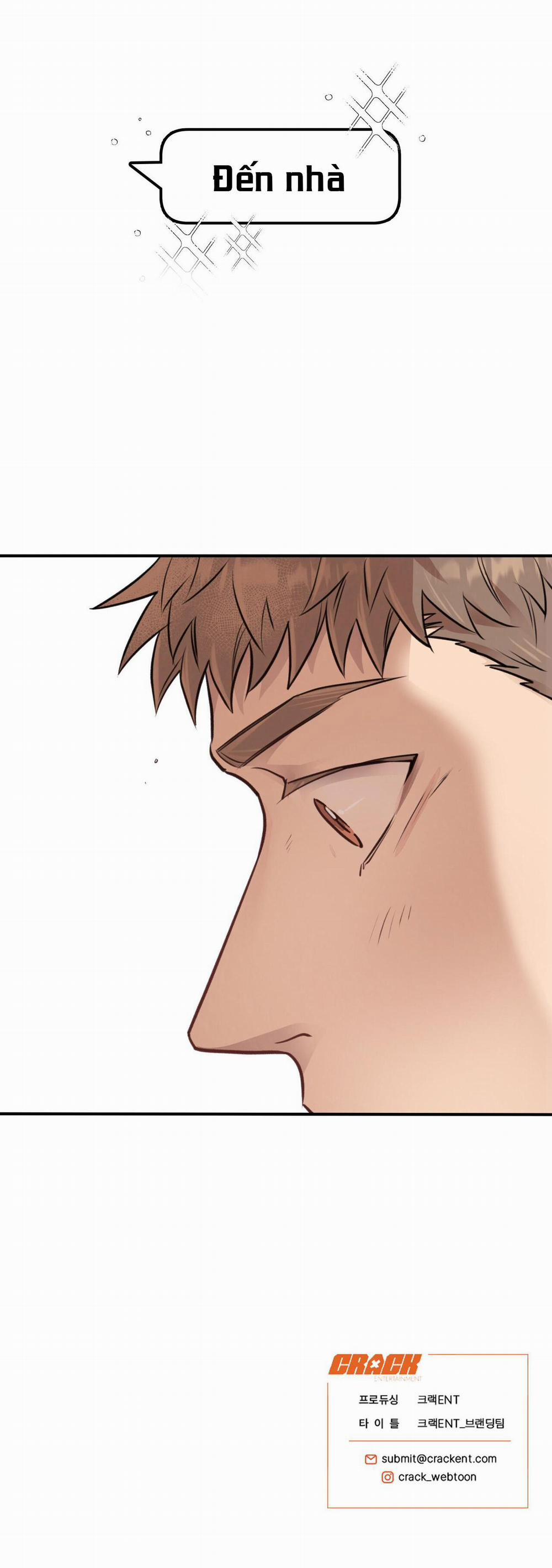 Mật Gấu 13 trang 41