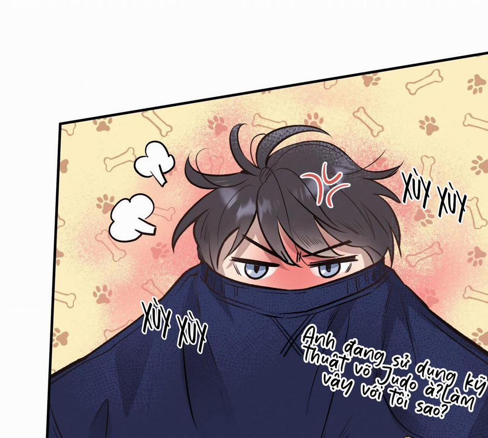 Mật Gấu 15 trang 11