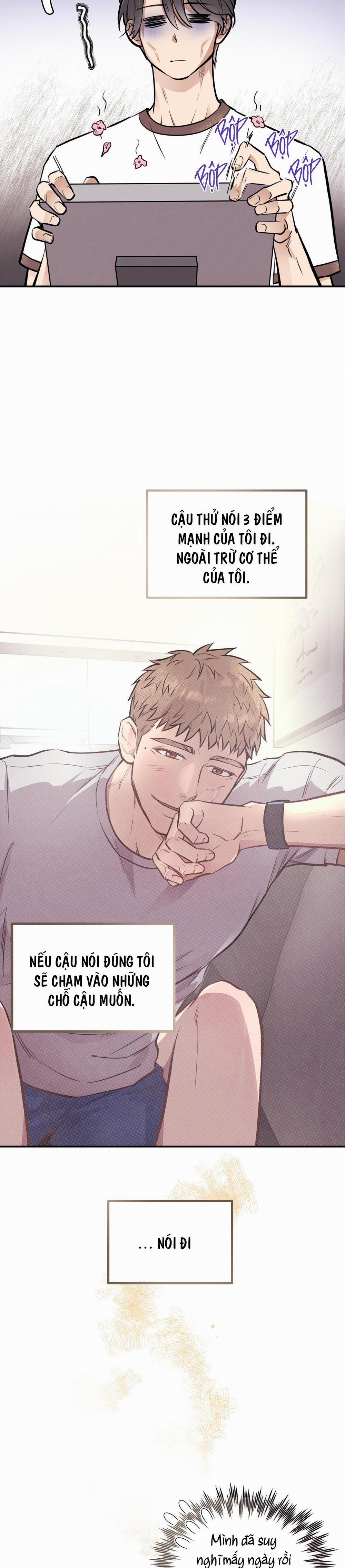 Mật Gấu 16 trang 3