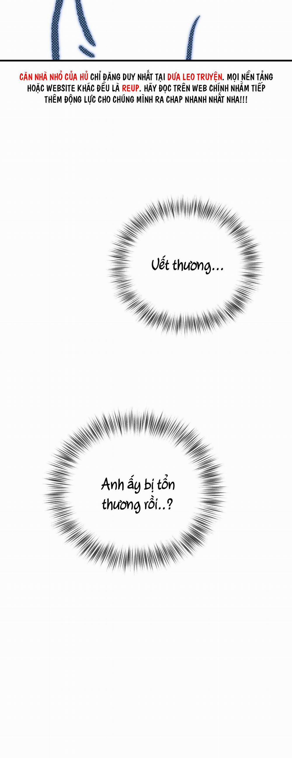 Mật Gấu 24 trang 46