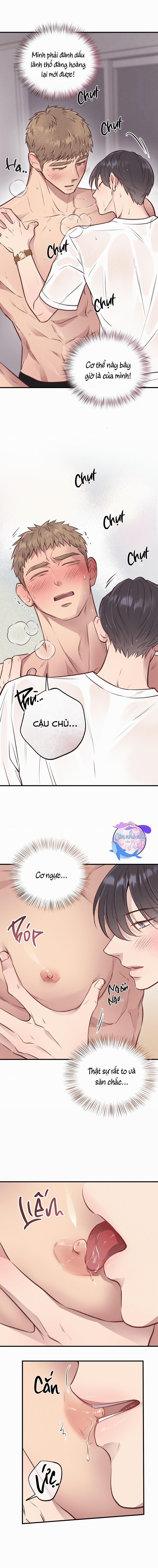 Mật Gấu 27 trang 3