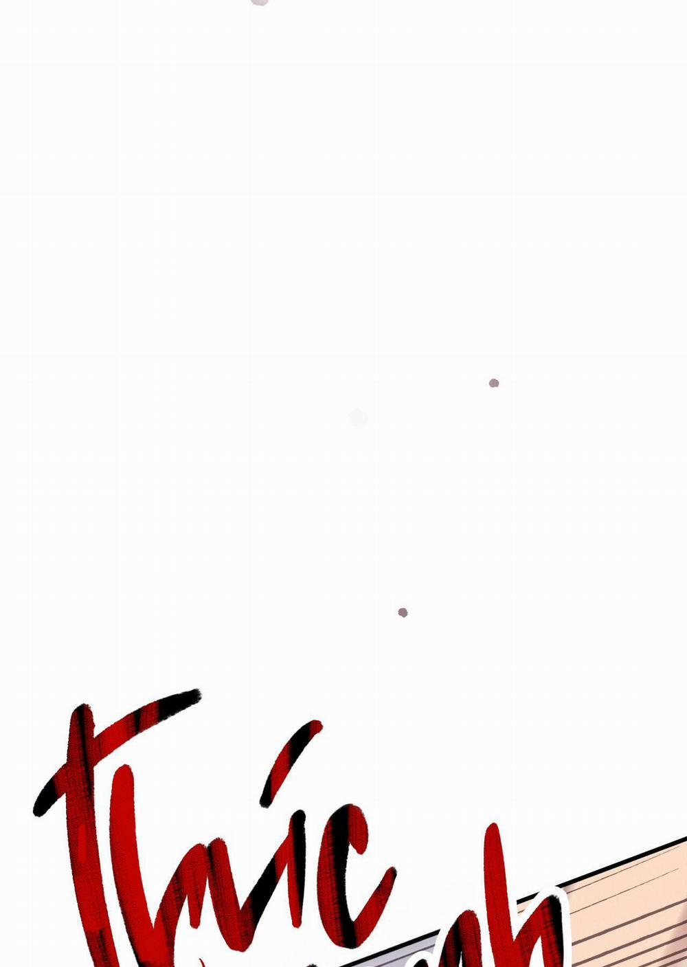 Mật Gấu 28 trang 17