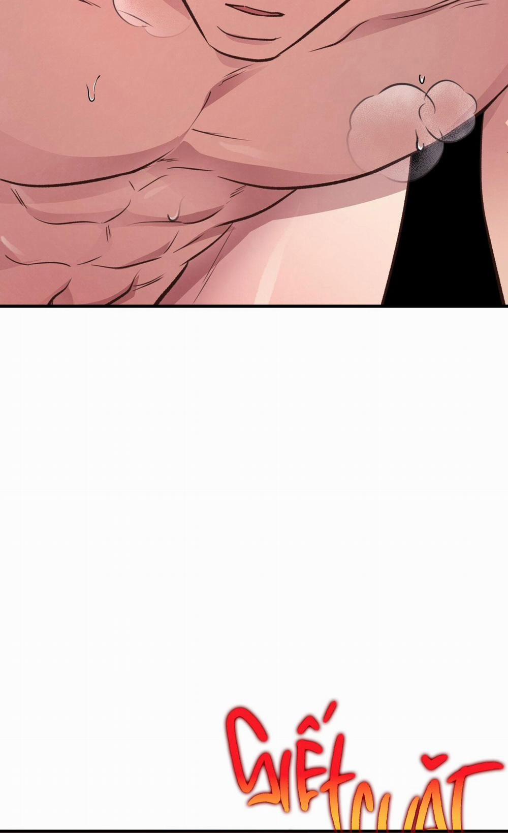 Mật Gấu 28 trang 43