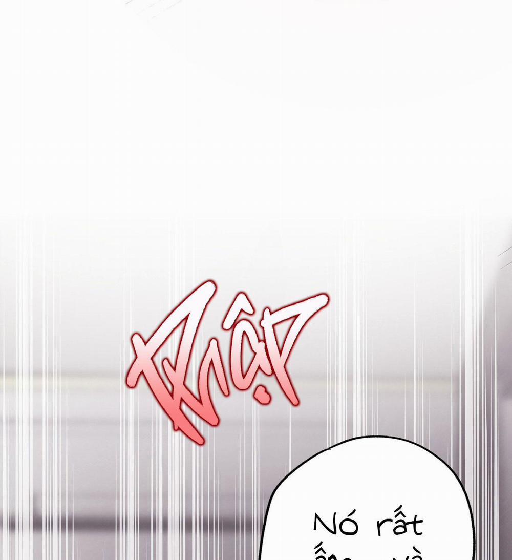 Mật Gấu 28 trang 65