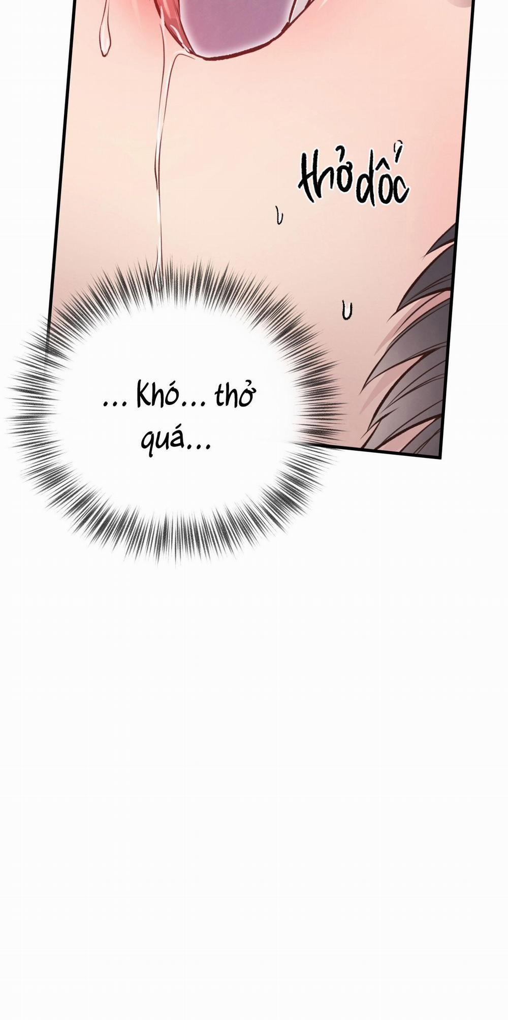 Mật Gấu 28 trang 7