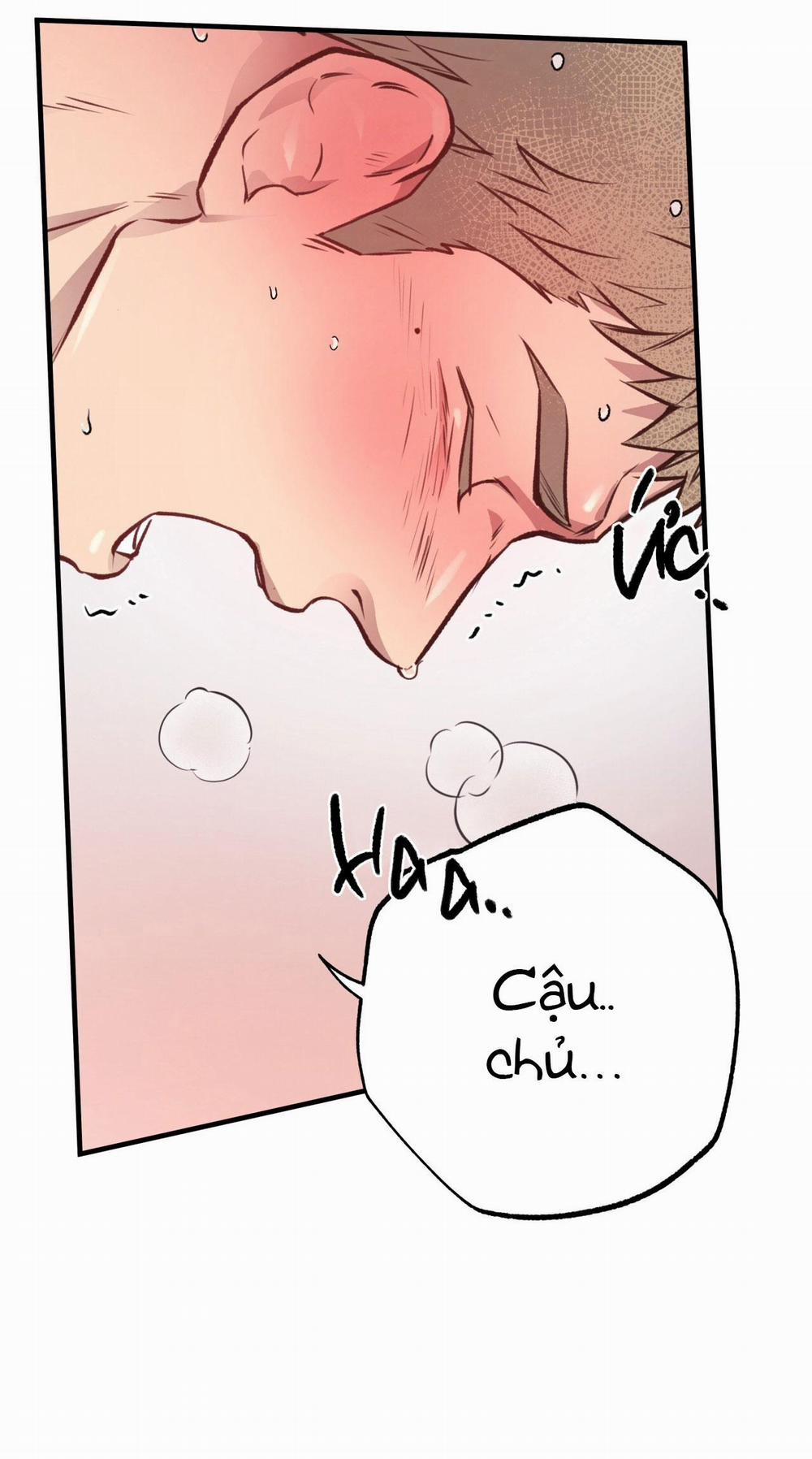 Mật Gấu 28 trang 8