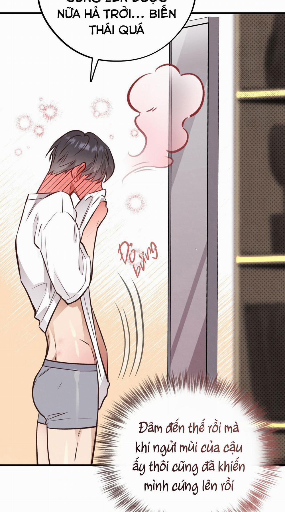 Mật Gấu 29 trang 101