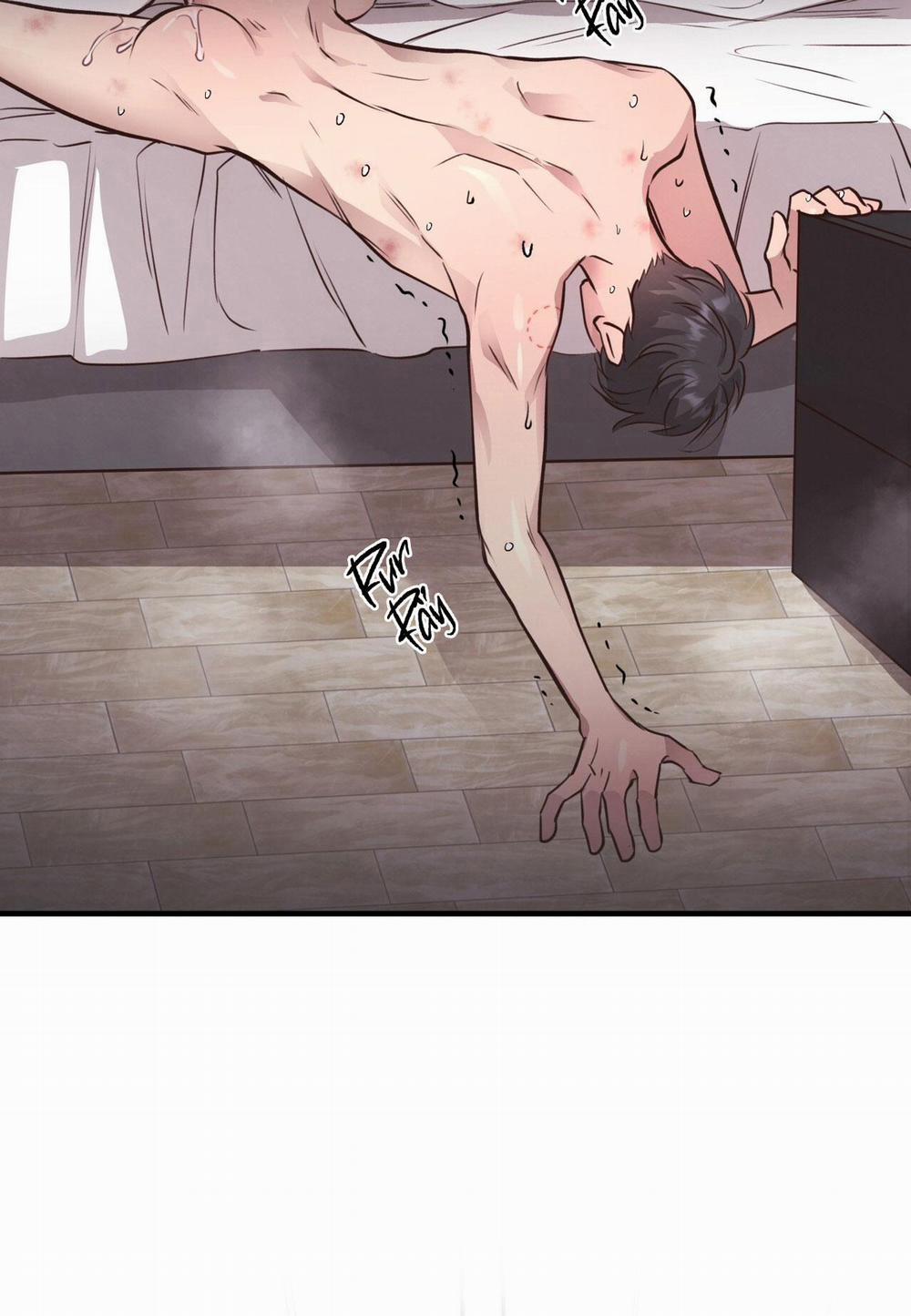 Mật Gấu 29 trang 24