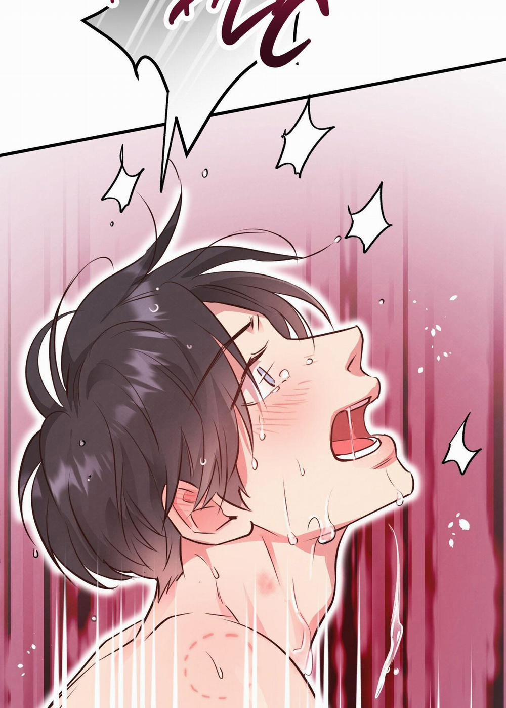 Mật Gấu 29 trang 40