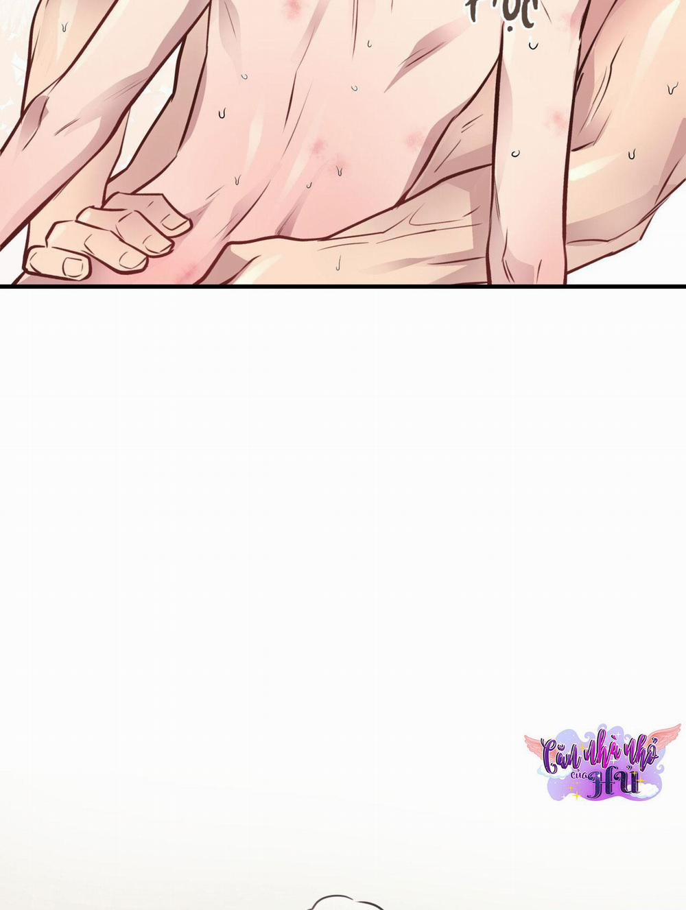 Mật Gấu 29 trang 51