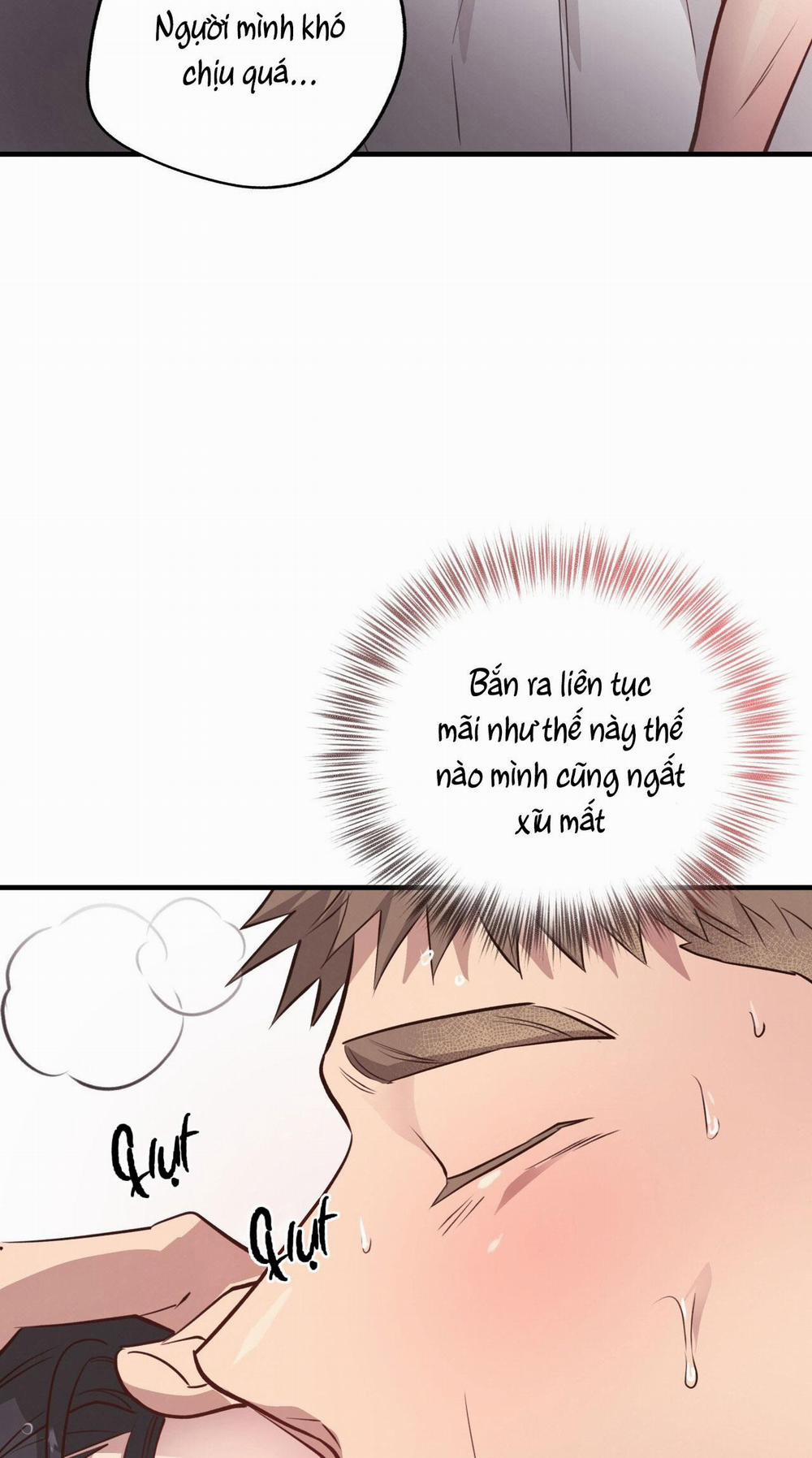 Mật Gấu 29 trang 53