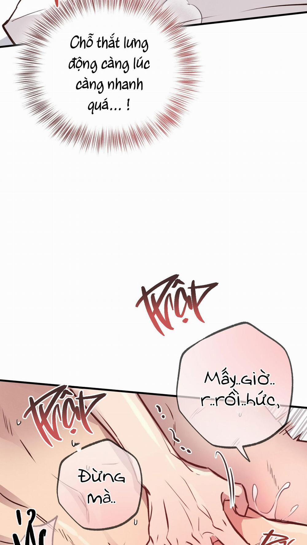 Mật Gấu 29 trang 6