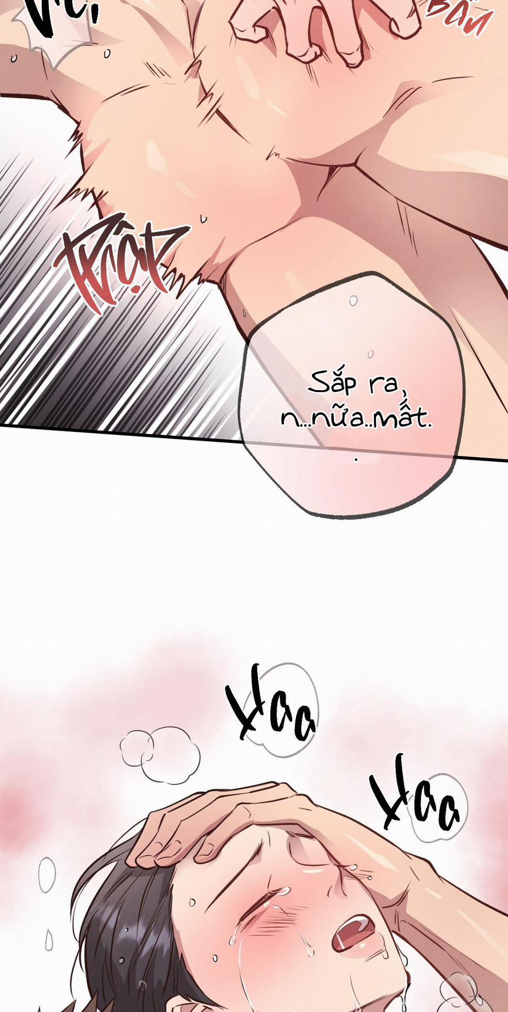 Mật Gấu 29 trang 7