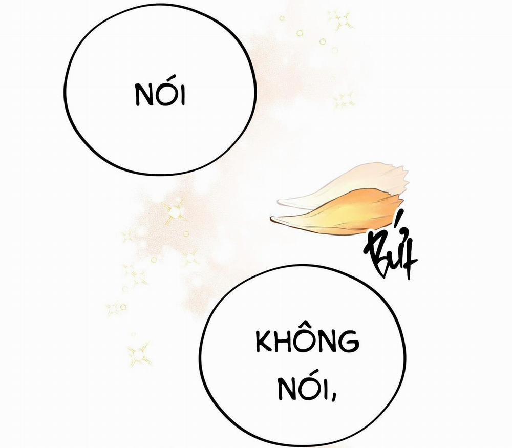 Mật Gấu 31 SS2 trang 11