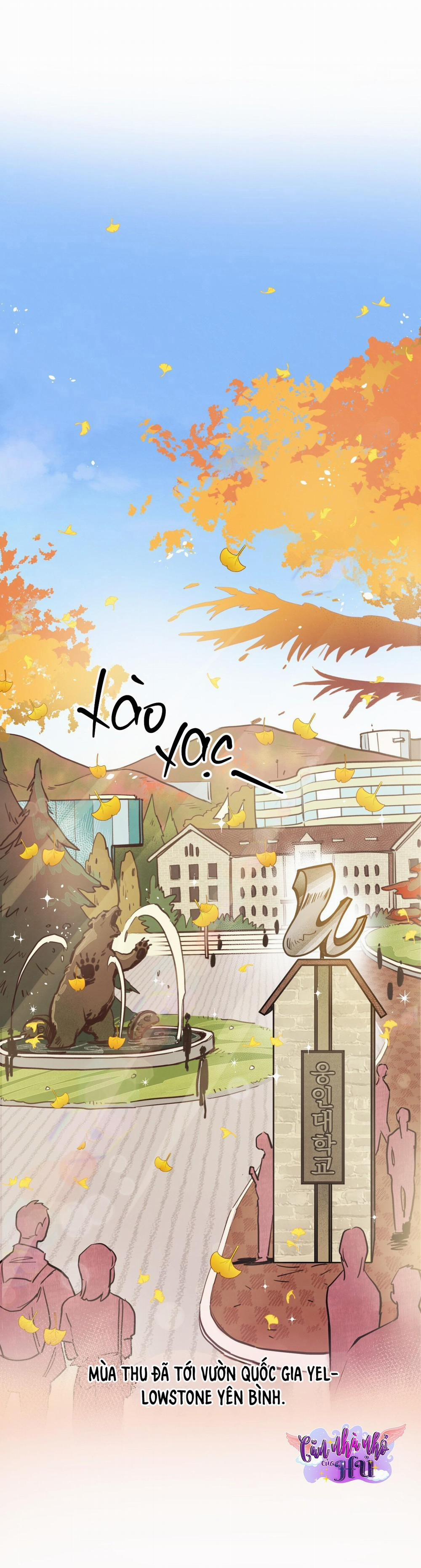 Mật Gấu 31 SS2 trang 2