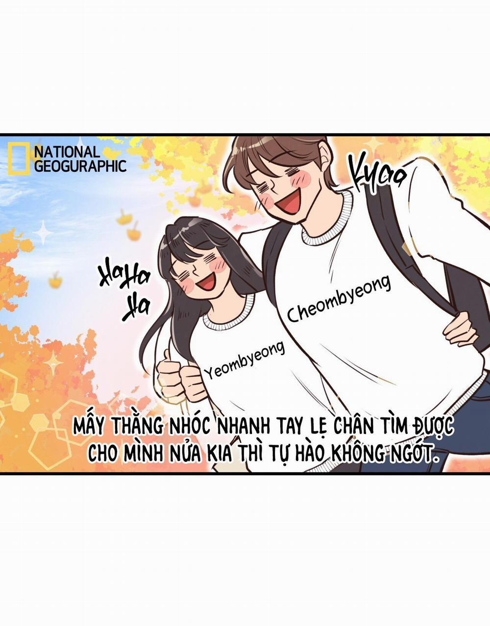 Mật Gấu 31 SS2 trang 4