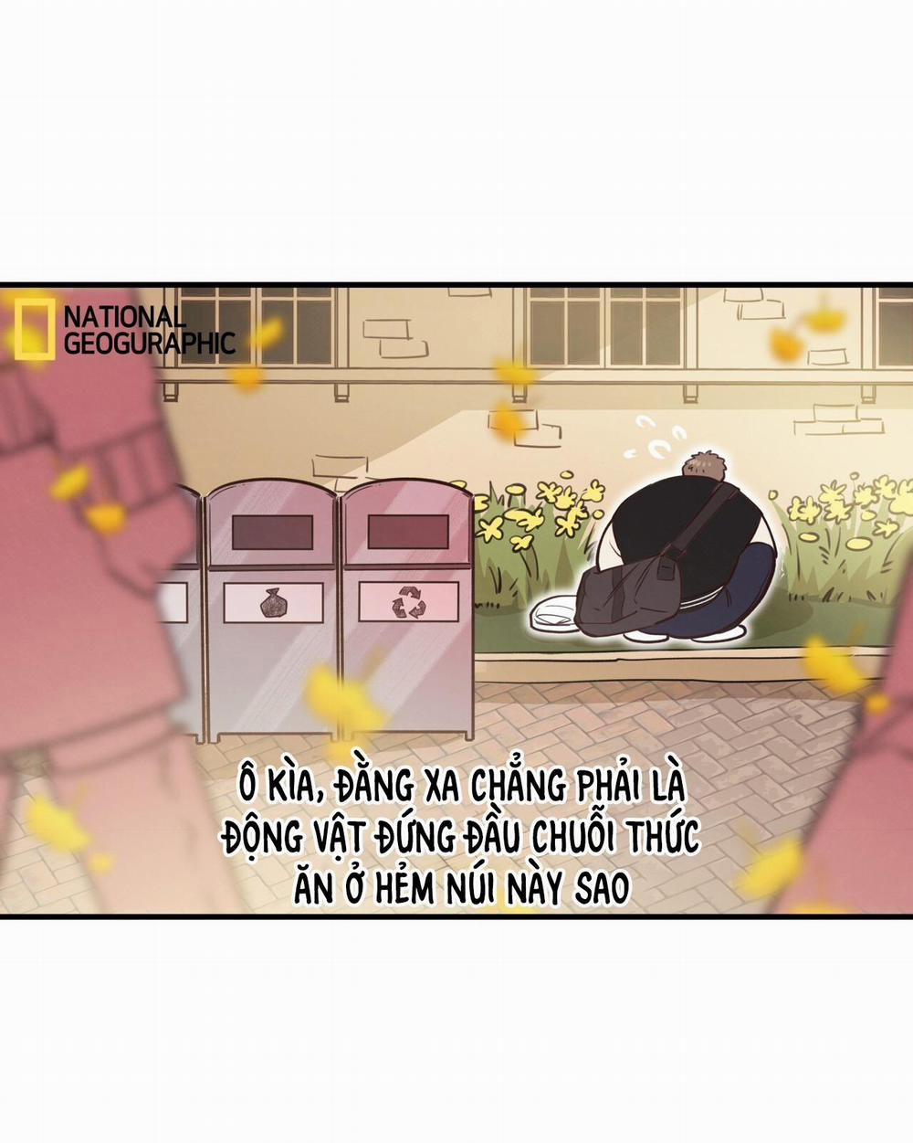 Mật Gấu 31 SS2 trang 5