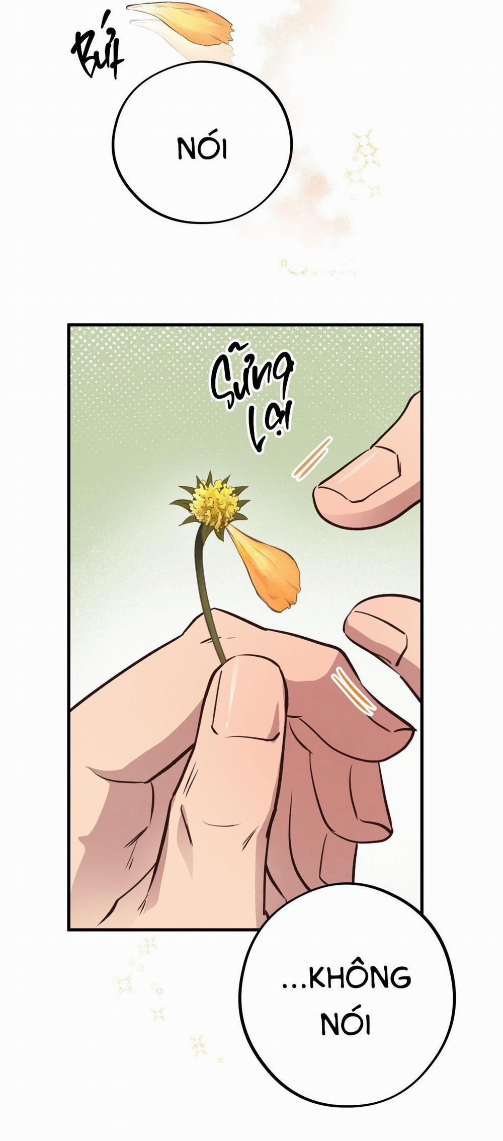 Mật Gấu 31 trang 12