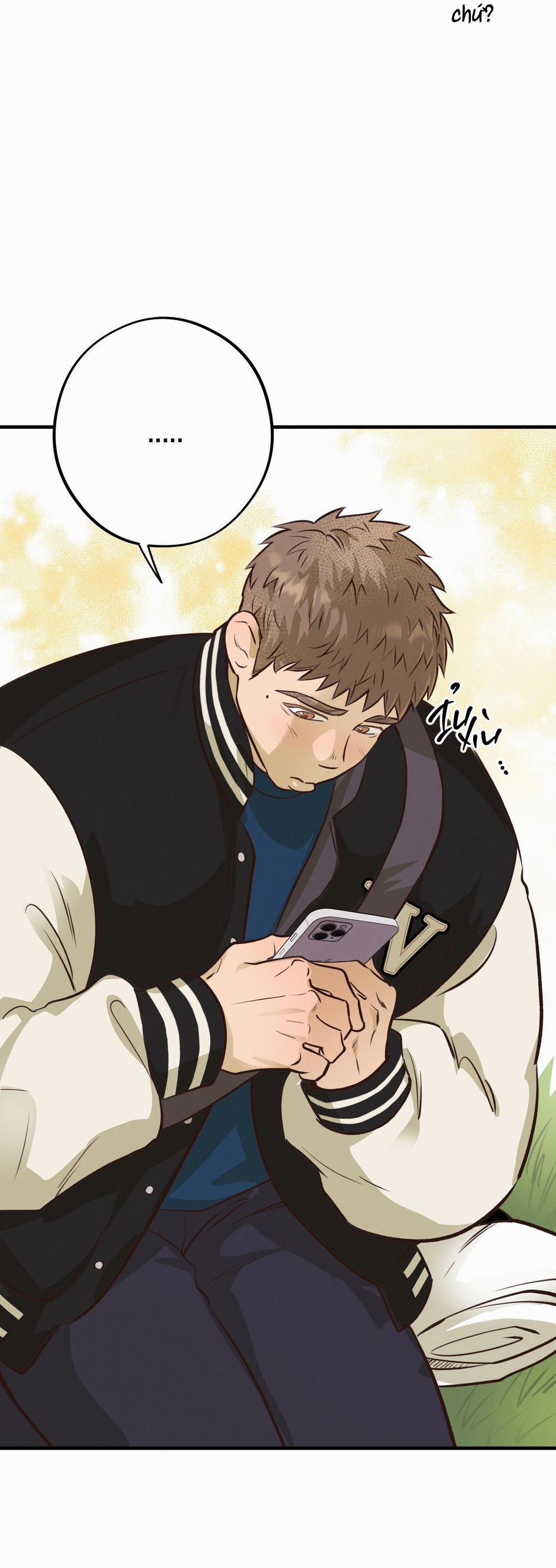 Mật Gấu 31 trang 17