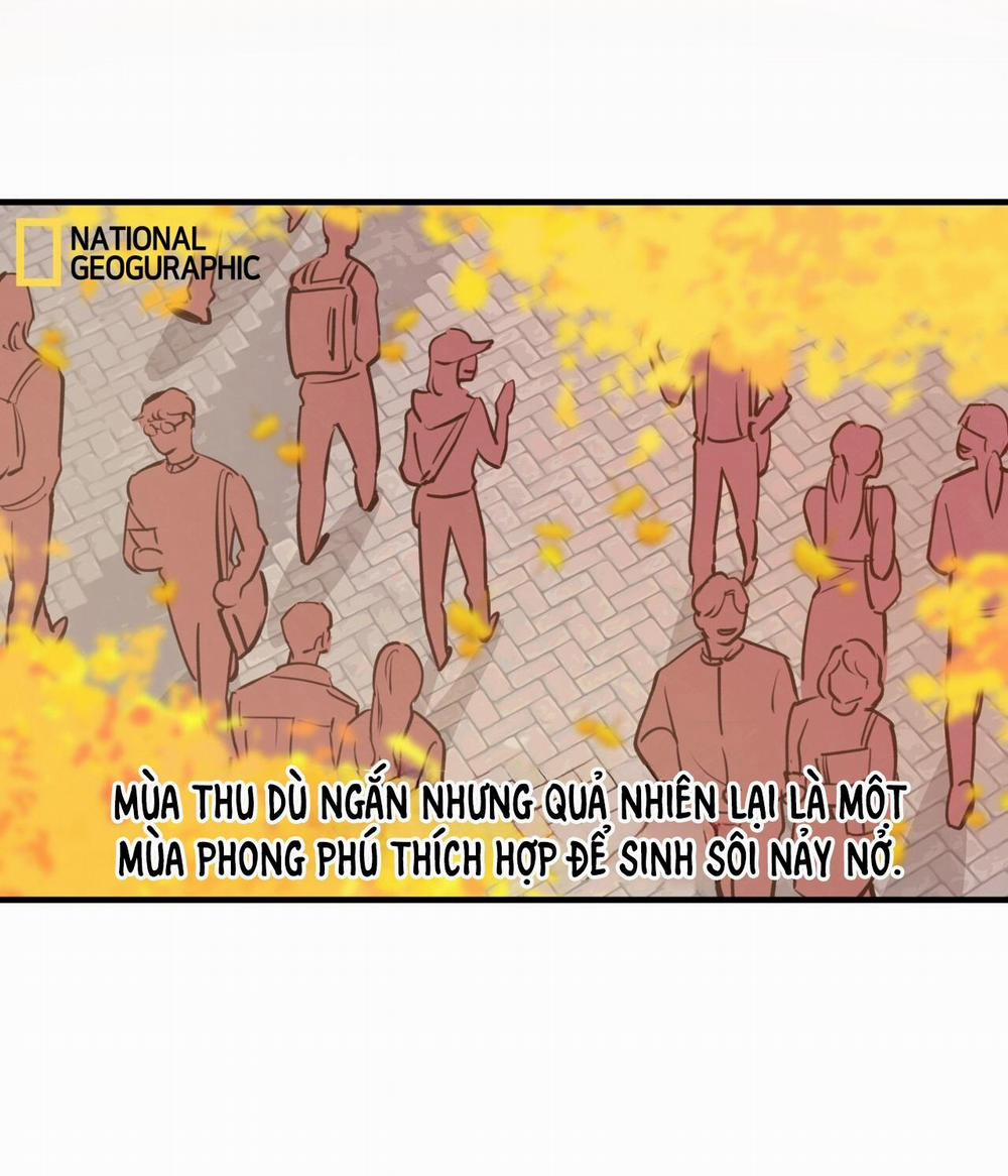 Mật Gấu 31 trang 3