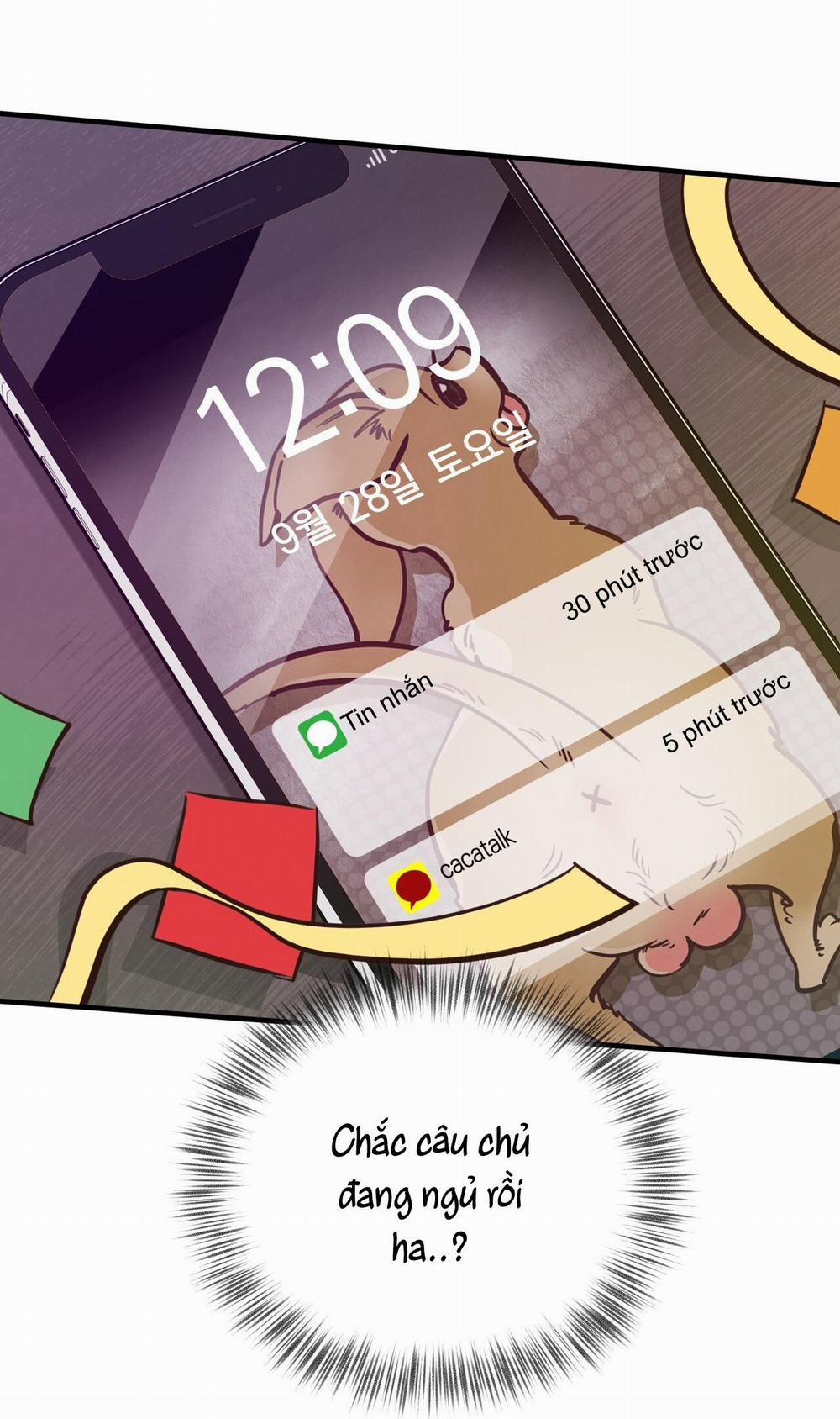 Mật Gấu 31 trang 30