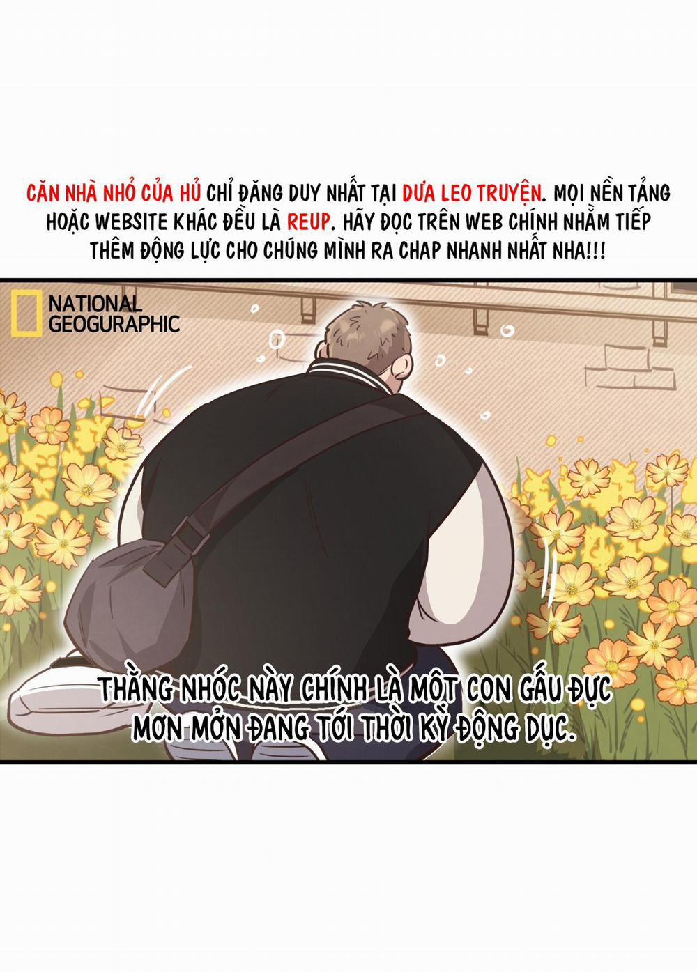 Mật Gấu 31 trang 6