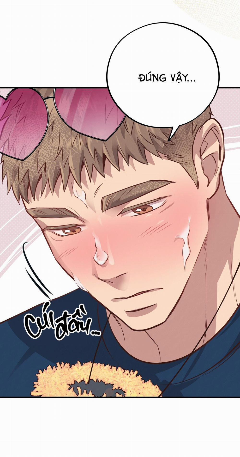 Mật Gấu 31 trang 61