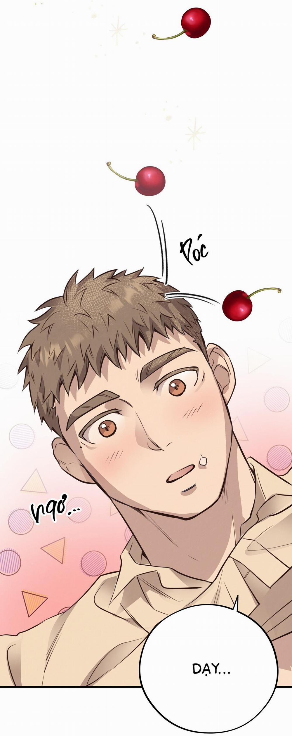 Mật Gấu 33 trang 48