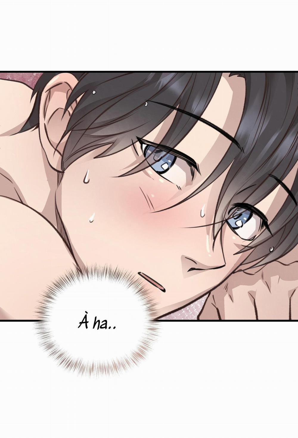 Mật Gấu 35 trang 13