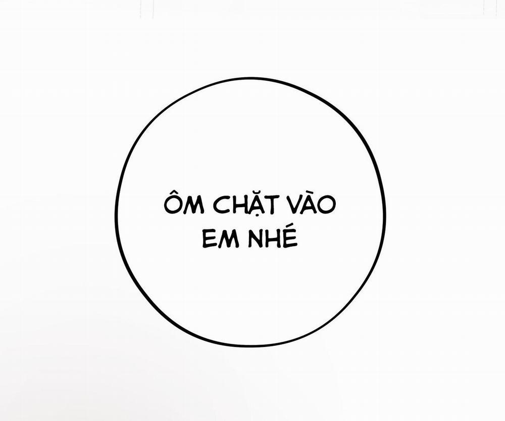 Mật Gấu 35 trang 38