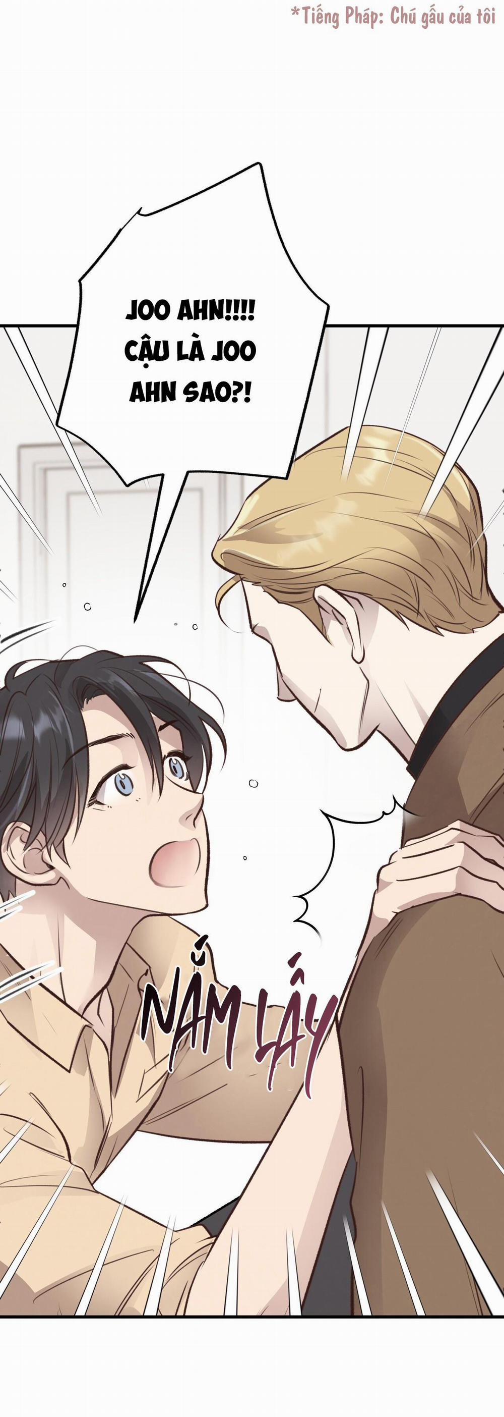 Mật Gấu 36 trang 47