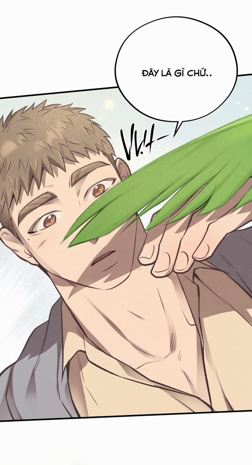 Mật Gấu 36 trang 6