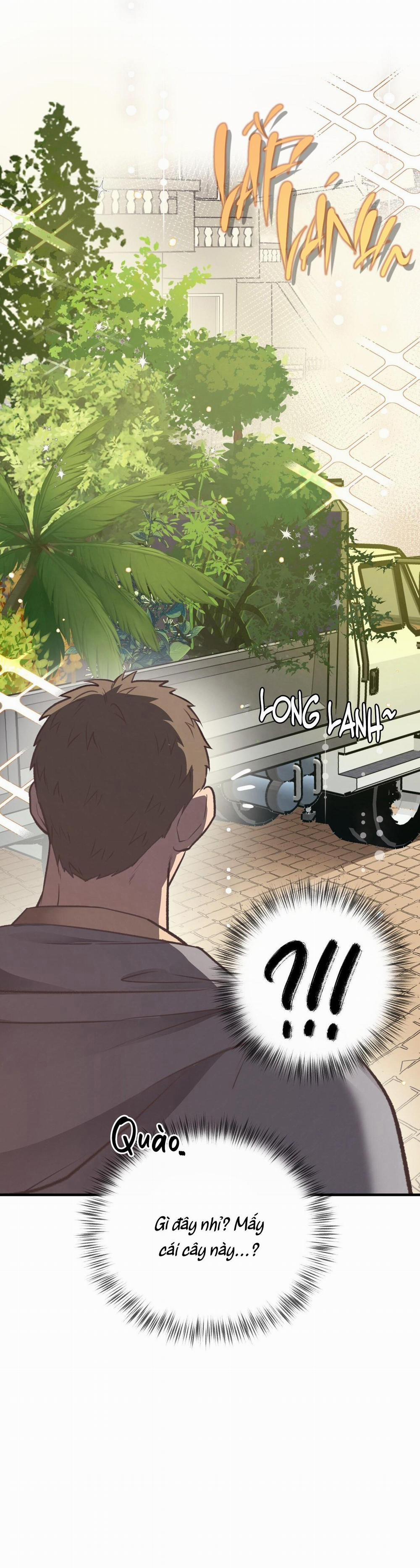 Mật Gấu 36 trang 7