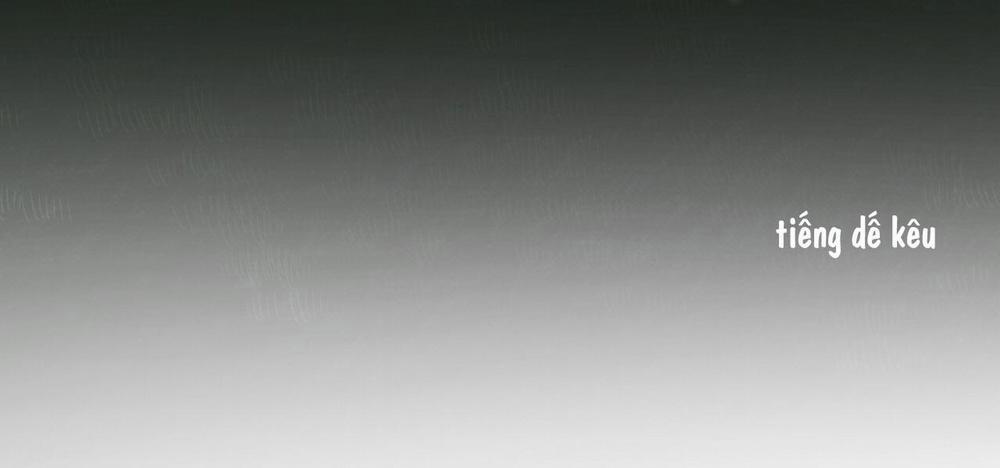 Mật Gấu 37 trang 41