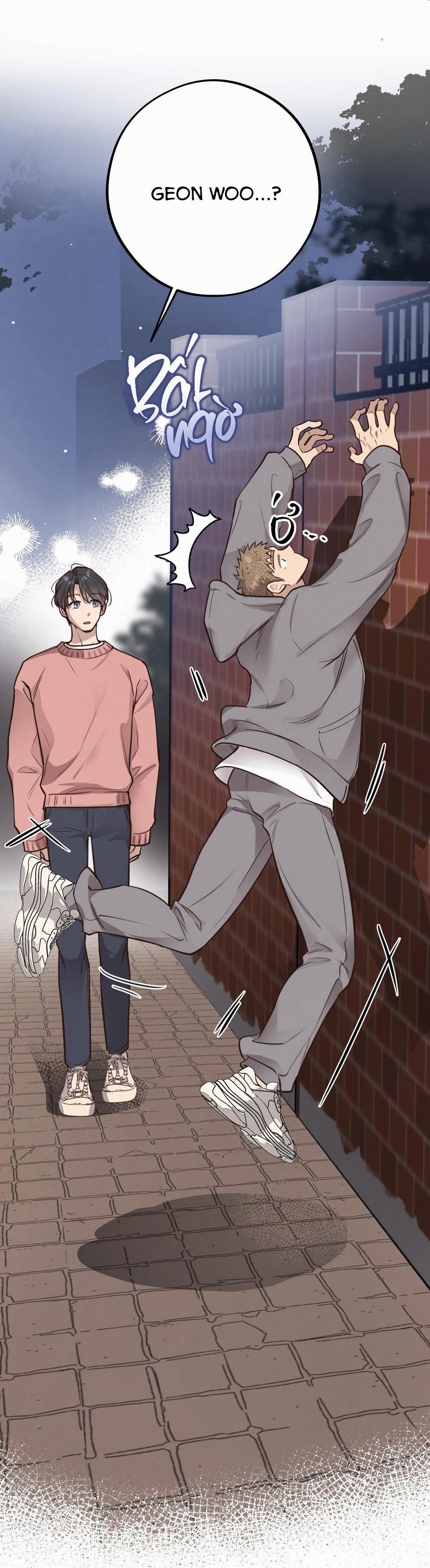 Mật Gấu 37 trang 48