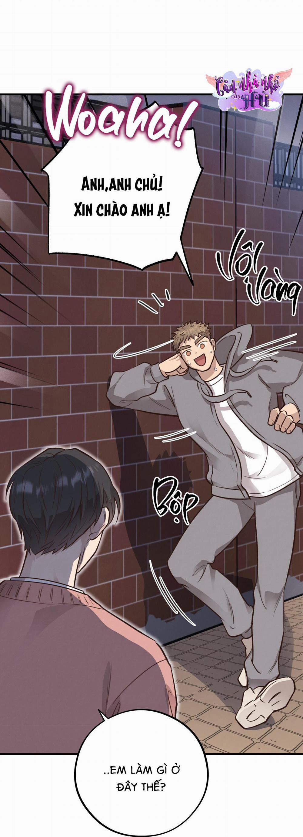 Mật Gấu 37 trang 49