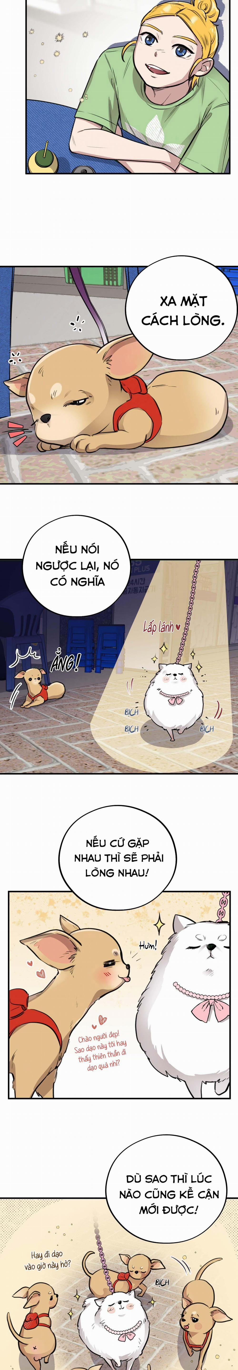 Mật Gấu 4 trang 12