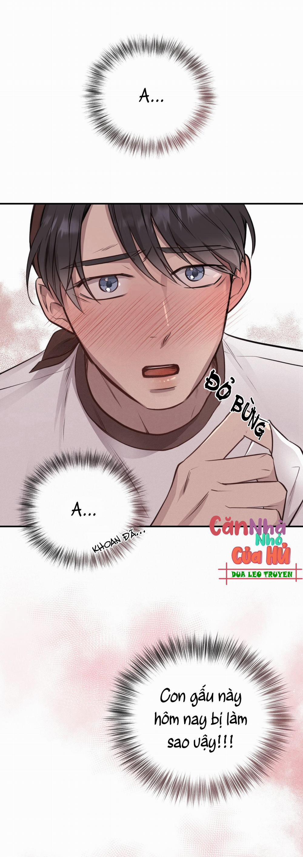 Mật Gấu 8 trang 13